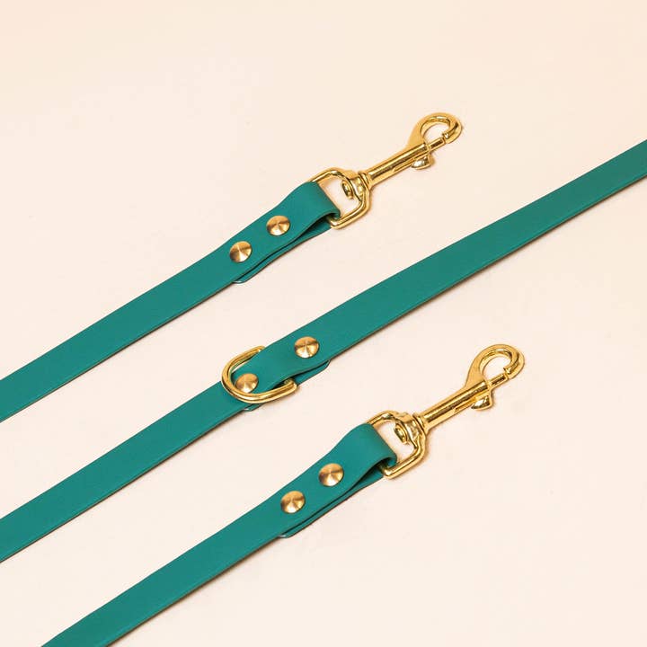 Multi-position leash - Parisian green for wholesale by Fidèle Paris