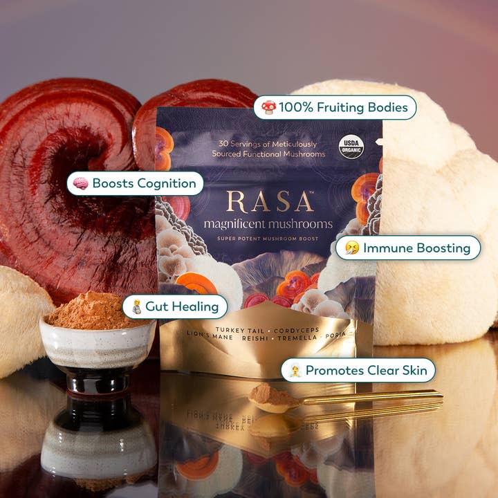 Rasa - #1 in Functional Adaptogens - Wholesale Hot Cocoa Mix/Kit - Rasa Magnificent Mushrooms | Super-Potent Mushroom Boost2