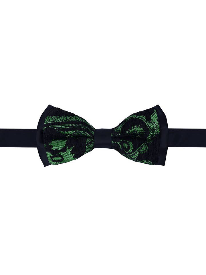Men's Paisley Pattern Design Bow Tie 2BW3101 for wholesale by BARABAS