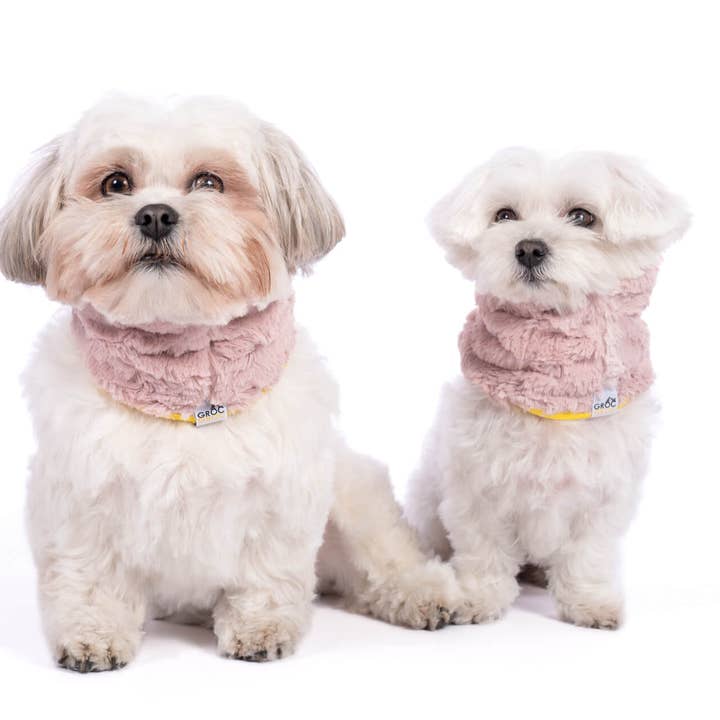 Halstørklæde til hunde Groc Groc Uoamy Plush for engroshandel hos Groc Groc