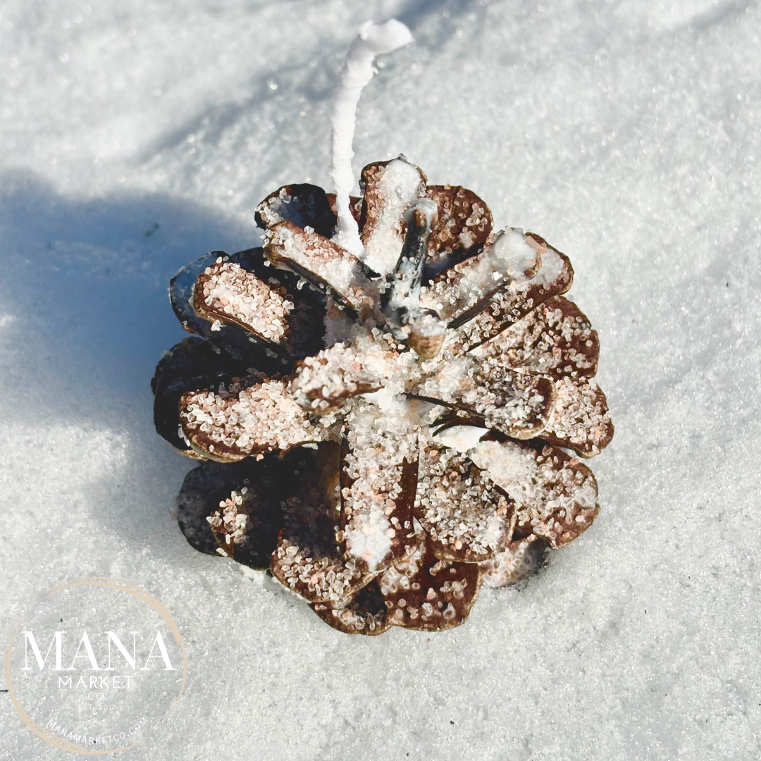 Mana Market Co. - Vente Cadeaux pour invités - Cônes de pin allume-feu cadeaux et souvenirs7