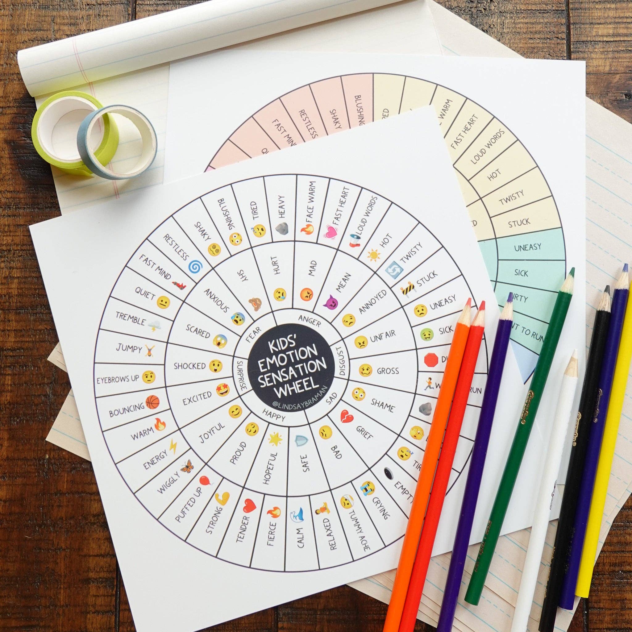 Lindsay Braman Studios - Wholesale Fidget Toy - Kids - Two-Sided Fidget-Proof Kids' Emotion Sensation Wheel | Extra Durable and Waterproof3