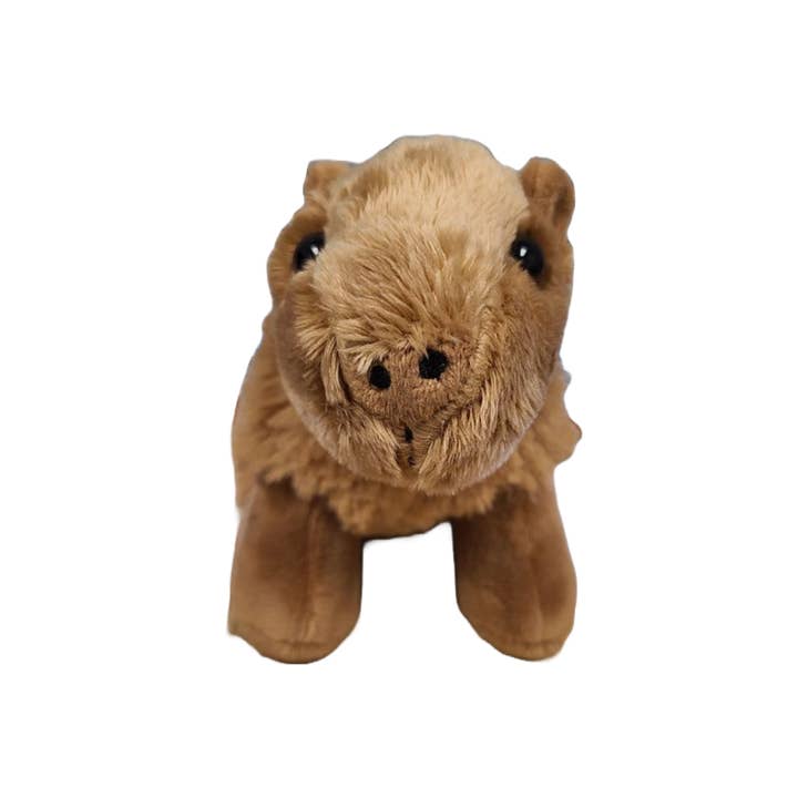 Canned Gifts - Wholesale Stuffed/Plush Toy - Kids & Baby - Steve the Canned Capybara | Stuffed Animal Plush w/Jokes4