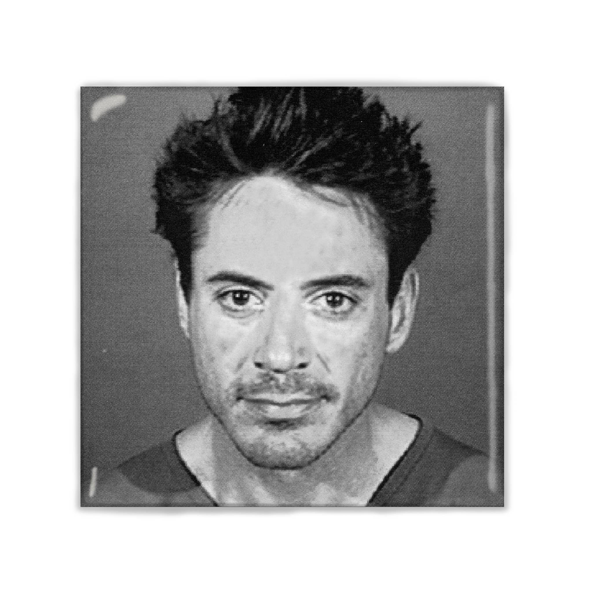 Lucky Mfg. Co. - Vente Aimants - Robert Downey Junior Aimant Mugshot 2x2