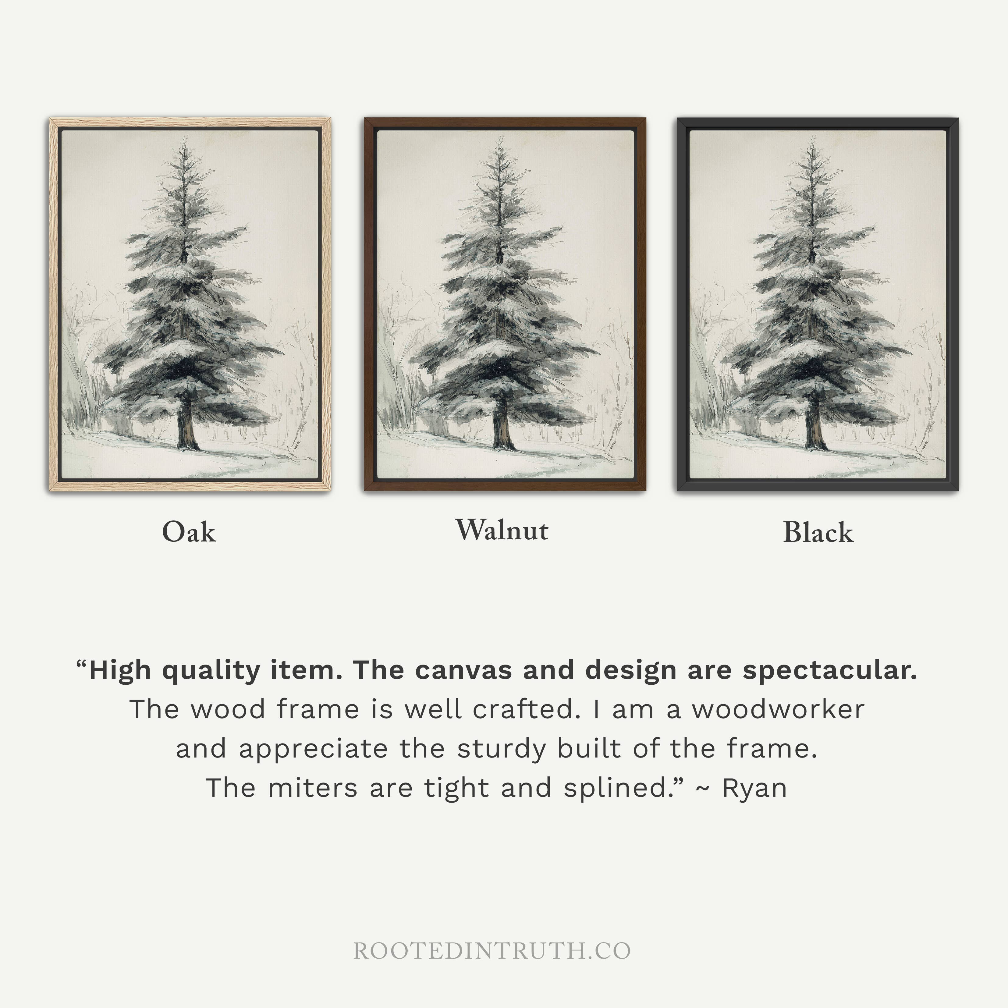 Rooted in Truth – wholesale Art print – Pine Tree Winter Christian Art Print, Canvas, Decor, Gift2