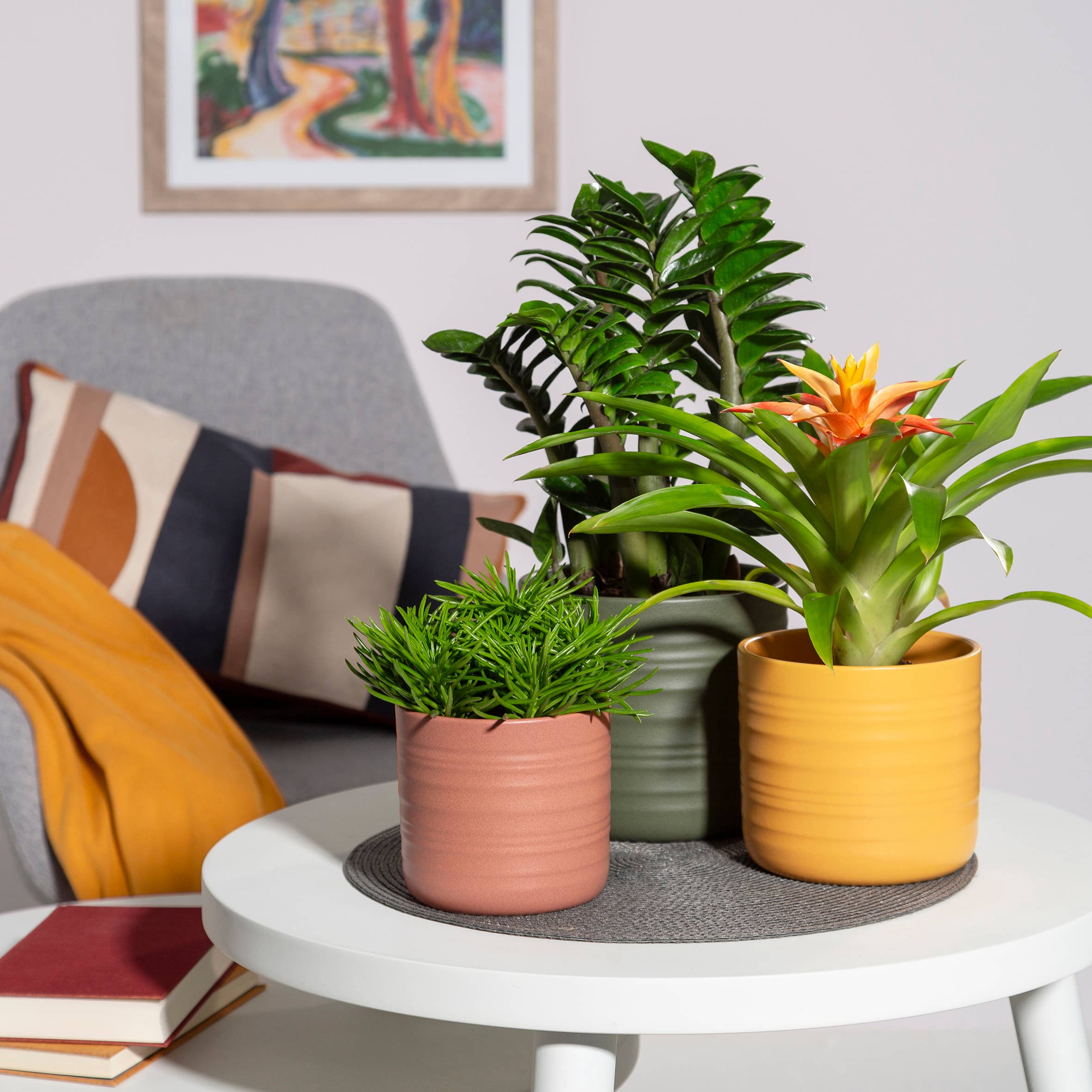 Scheurich - Wholesale Plant Pot - Cottage 850 ceramic flower pot/planter1