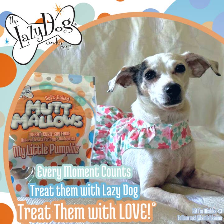 The Lazy Dog Cookie Co., Inc. - Vente Friandises – chien - Mes Petites Citrouilles5