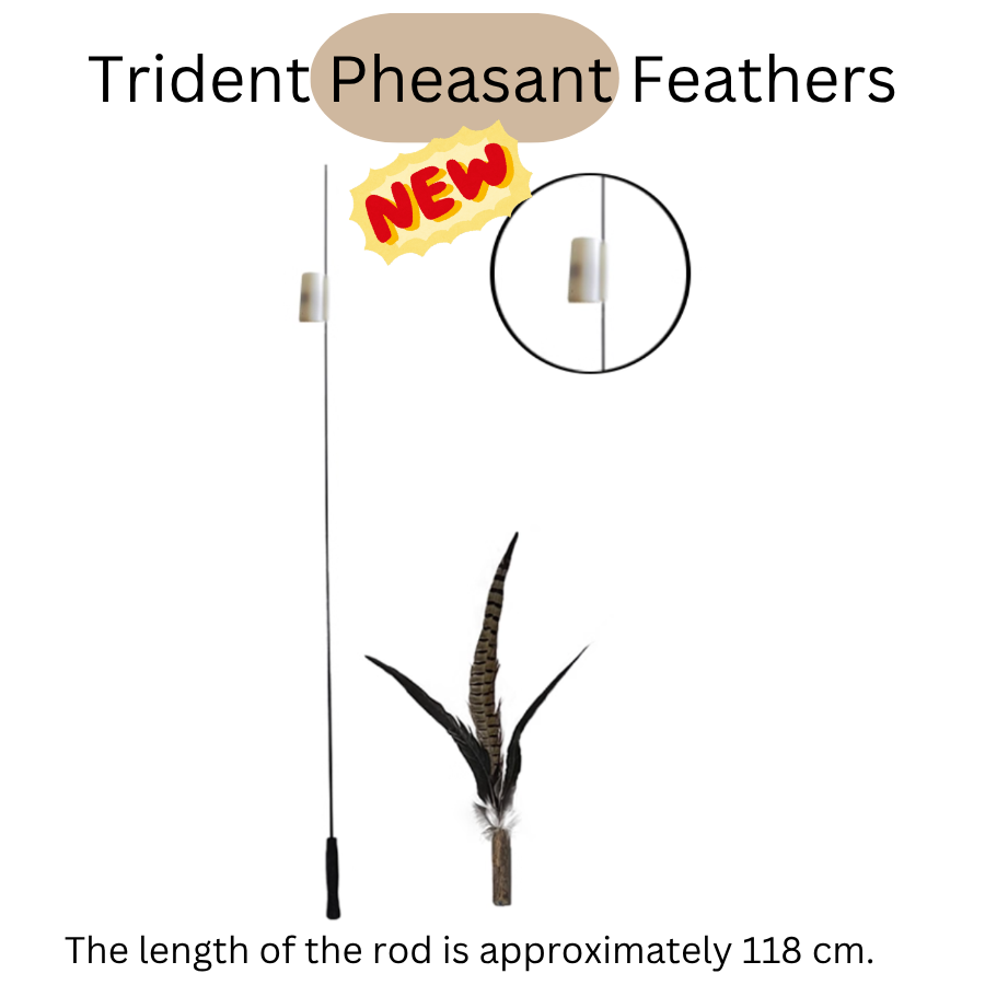 CATWANT – Brinquedo - Gato por atacado – Teaser Extra Longo Substituível - Nova Edição Chilreante1