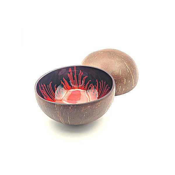 Bamboo Spirit - Wholesale Decorative Plate/Dish/Bowl - Coconut Bowl painted Feathers6