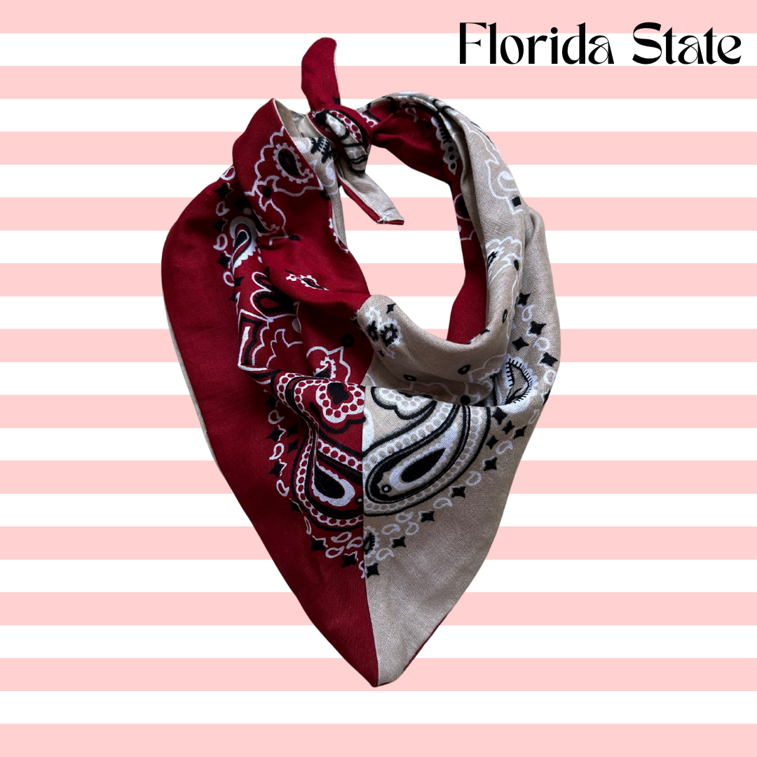 Sugar Cilantro - Wholesale Bandana - Women's - Handmade Custom Colorblocked Gameday Bandana9