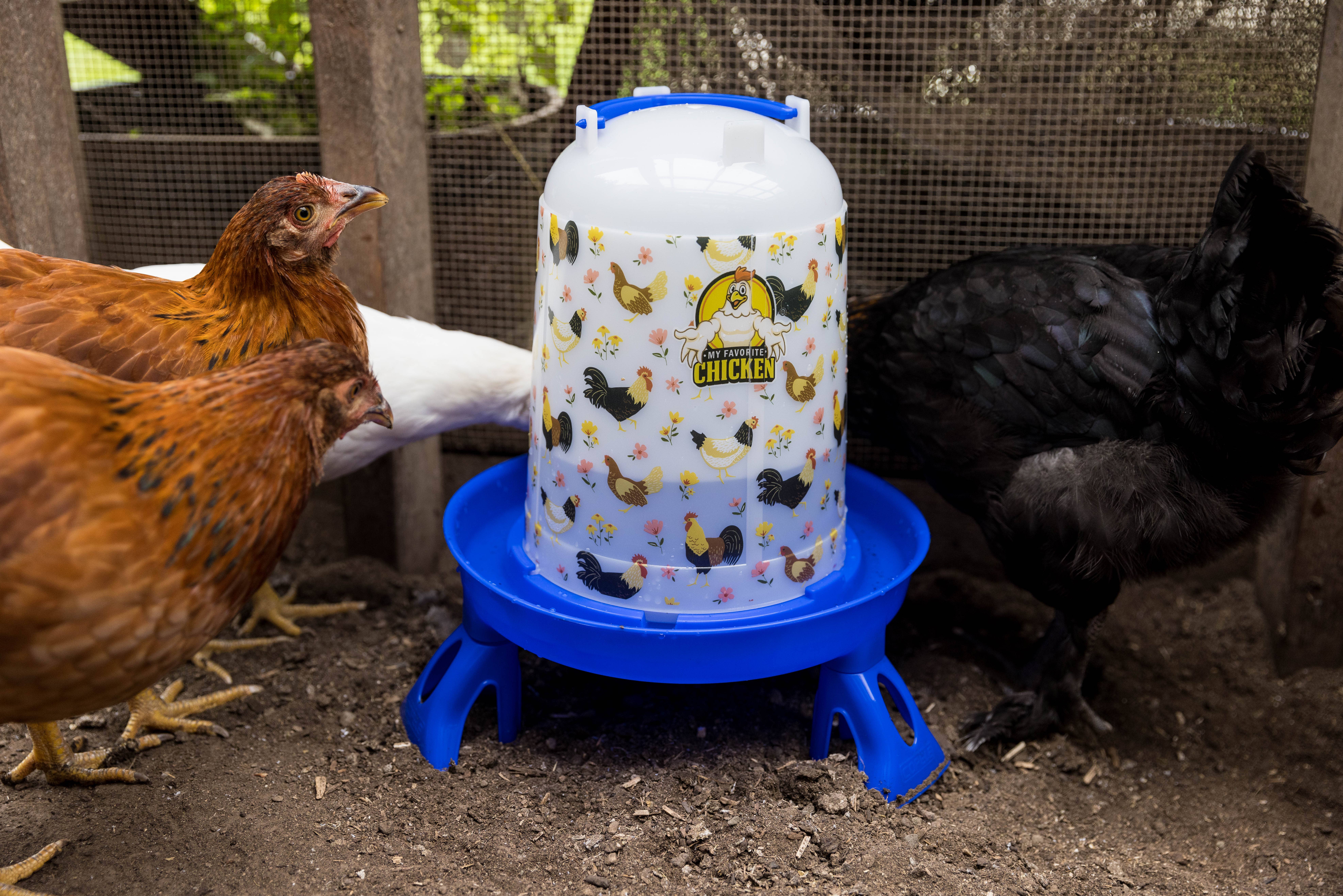 My Favorite Chicken - Wholesale Pet Bowl - Cat/Dog - Layer Kit: Feeder, Drinker, Nest Box, Feed Scoop, Egg Carton2