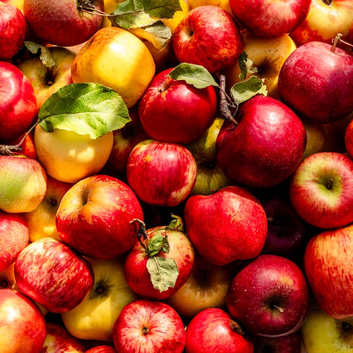 Little Apple Treats - Wholesale Cocktail Mix/Syrup - Blood Orange + Raspberry Shrub—made with fresh fruit!3