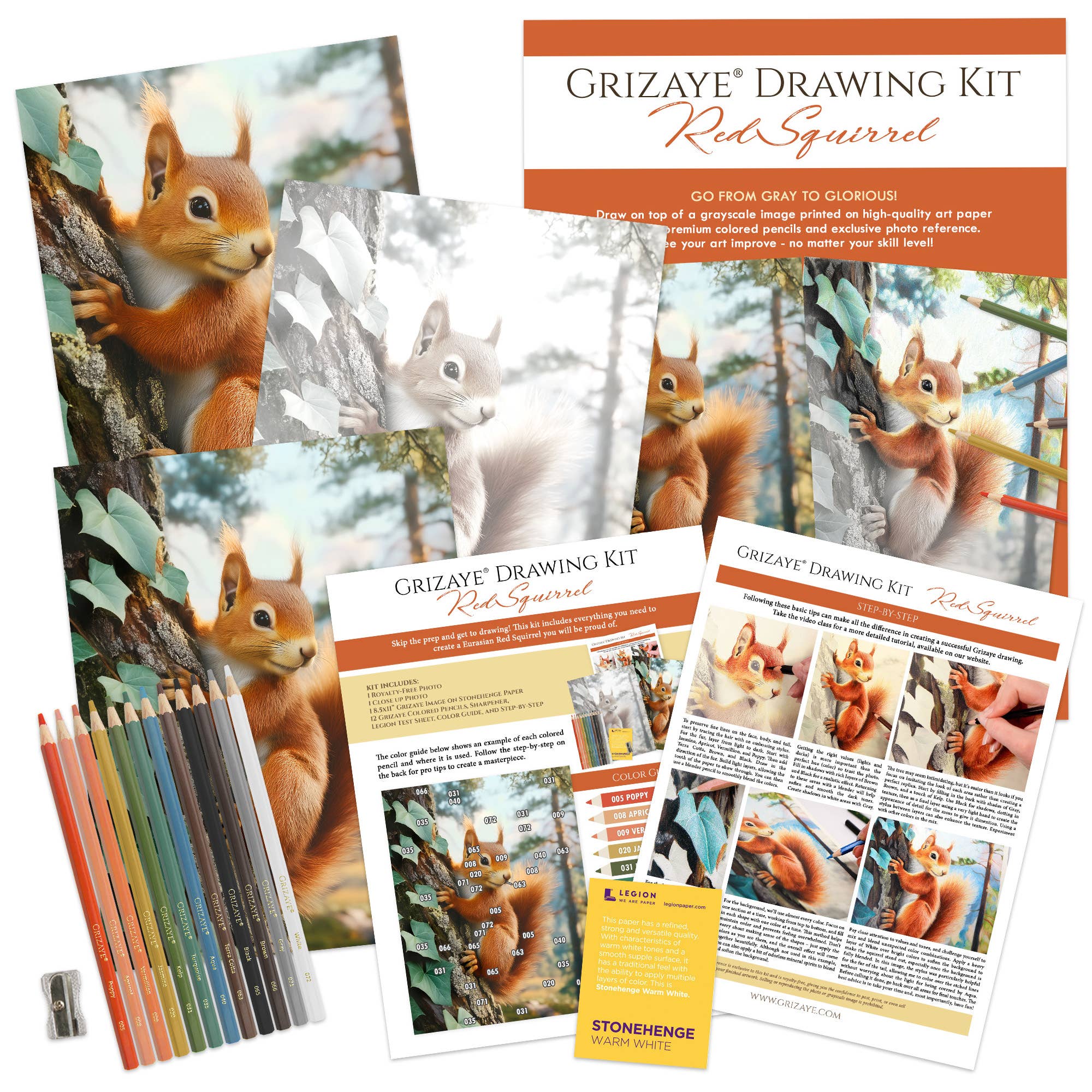 Grizaye - Wholesale DIY Craft Kit - Drawing Kit: Red Squirrel3