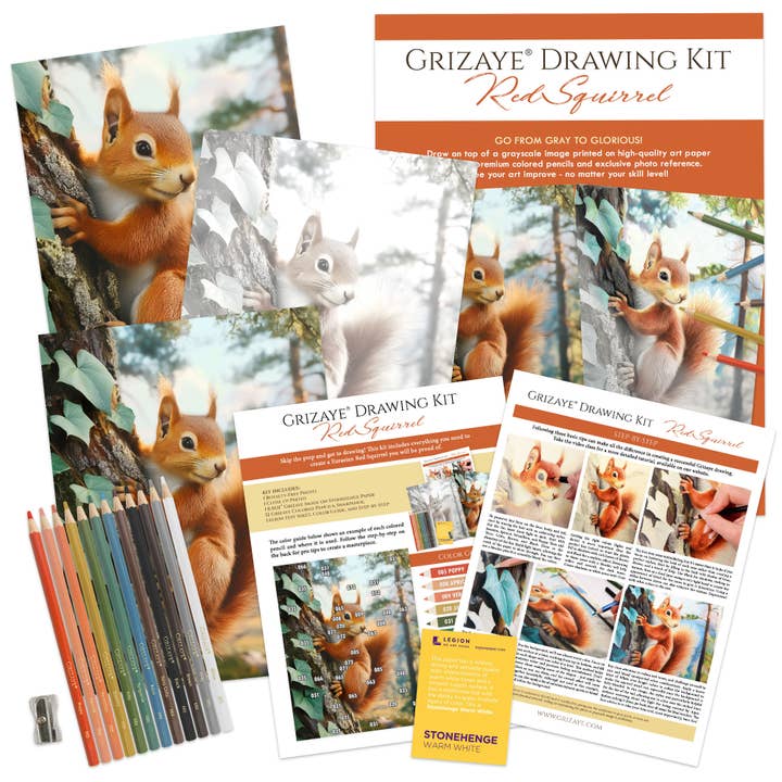 Grizaye - Wholesale DIY Craft Kit - Drawing Kit: Red Squirrel3