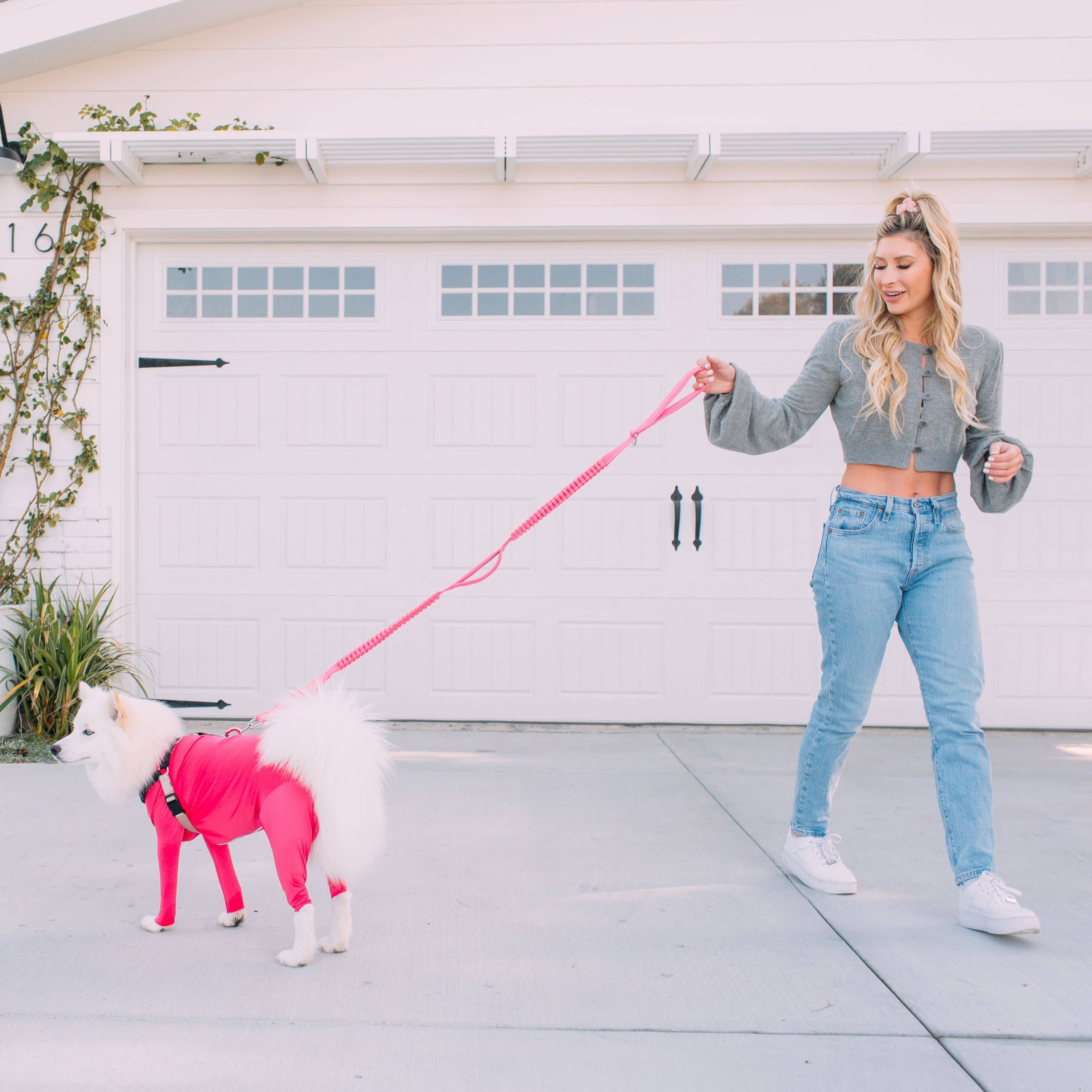 Shed Defender - Wholesale Pet Leash - Dog - Shock Absorbing Bungee Leash w/ Three Padded Handles 4-6 ft.4