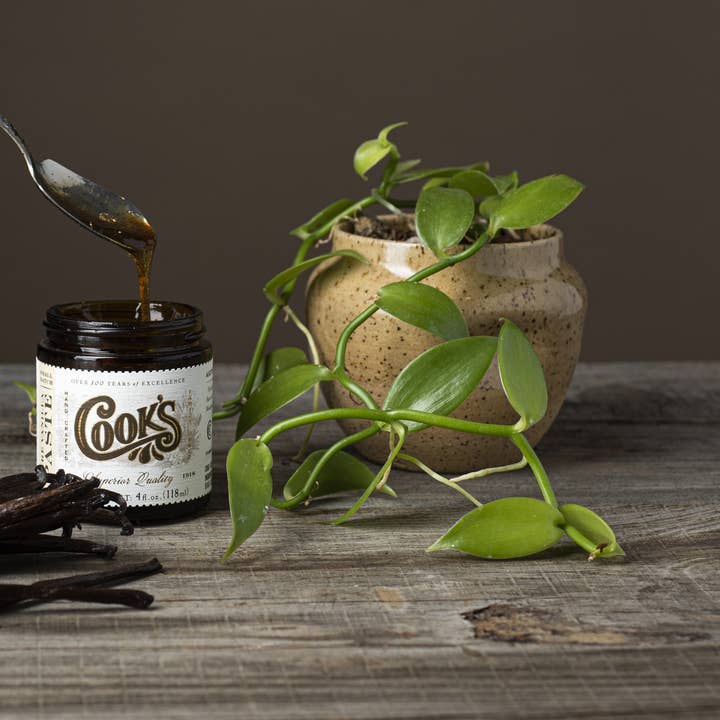Cook Flavoring Company - Wholesale Vanilla/Fruit Extract - Pure Vanilla Bean Paste - Puree2