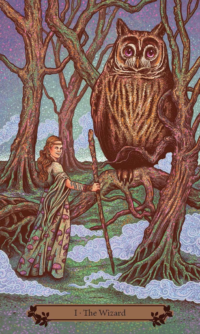 Cardshouse – wholesale Tarot cards – Hedgewitch Tarot cards Llewellyn8