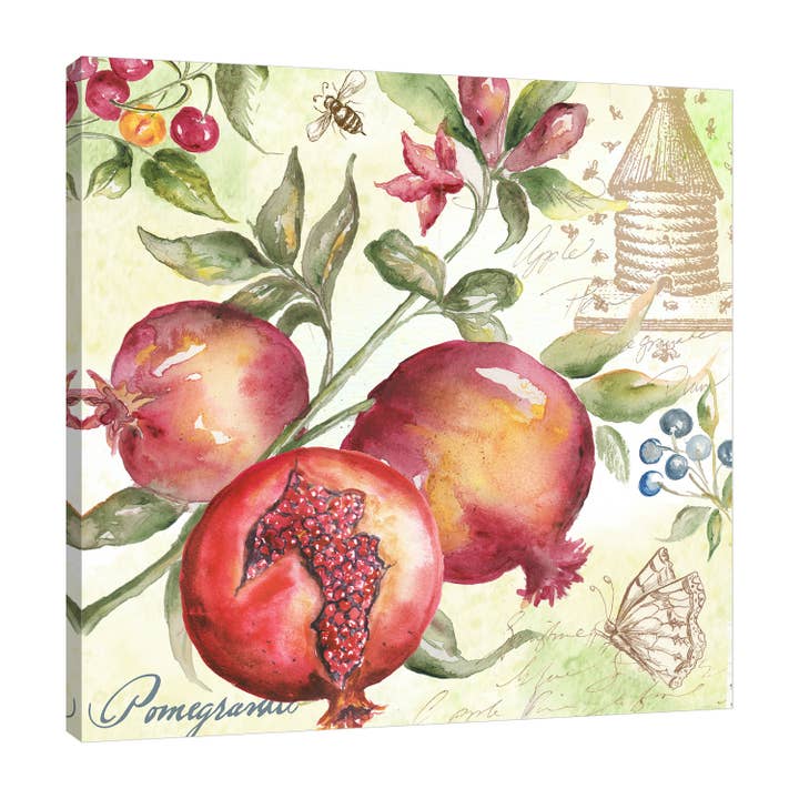 Watercolor Pomegranate Gallery Wrapped Canvas for wholesale by Jaxson Rea