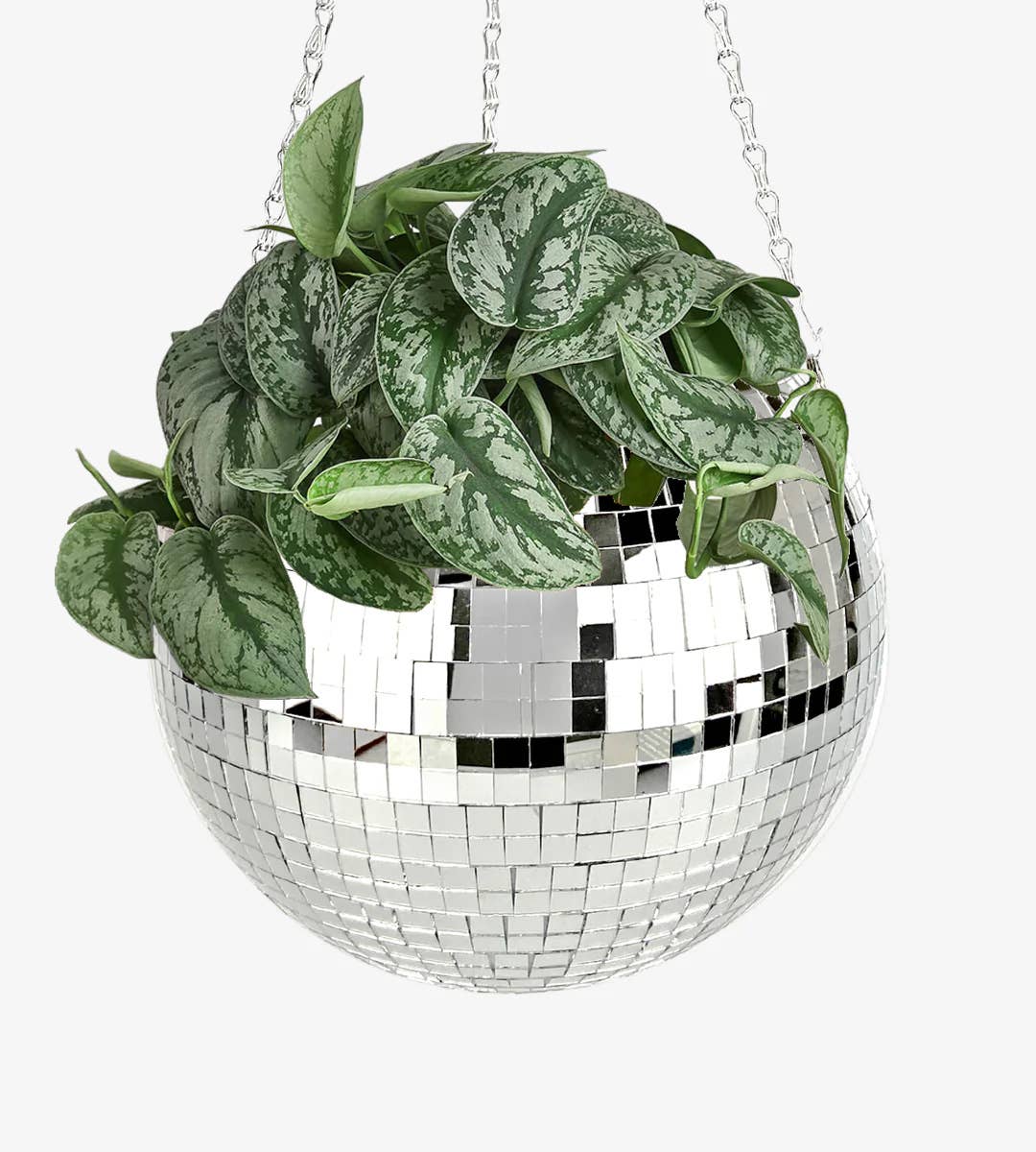 Nomatiq - Wholesale Plant Pot - Disco Ball Planter5