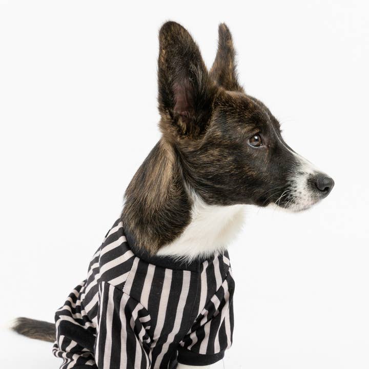Striped Dog Pajamas – Cozy & Stylish Matching PJs for Your Pup! for wholesale by Dollar Paw