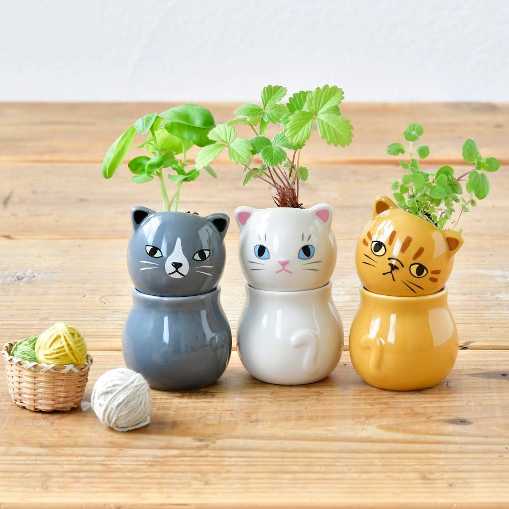 Noted - Wholesale Plant Pot - Corocoro Cats - Assorted 3 Styles1