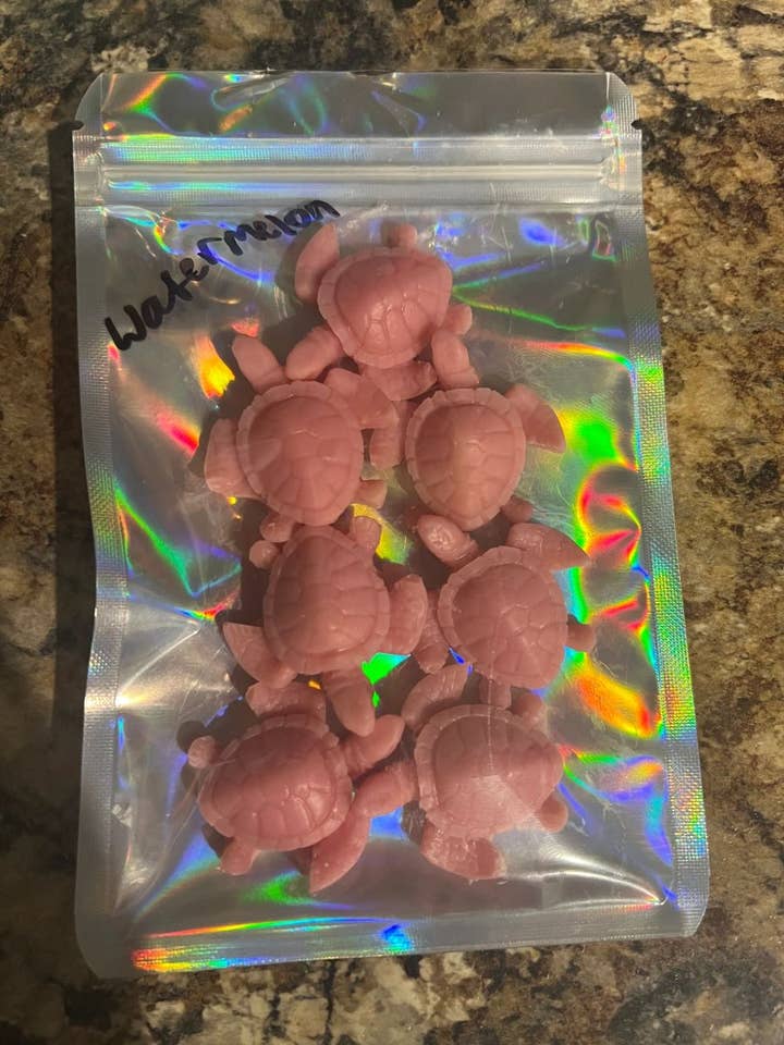 Skildpadde formet voks smelter - Vandmelon duft for engroshandel hos Kelsey’s Candles