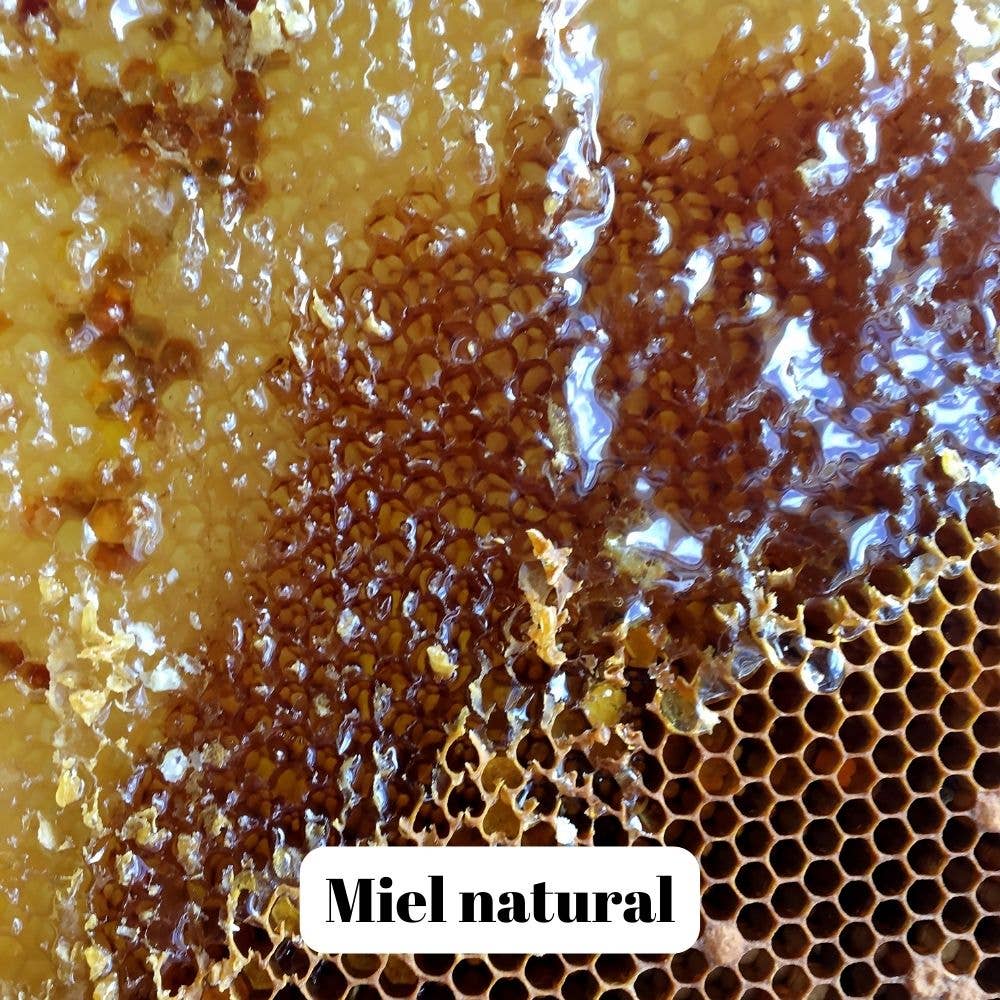 L'ABELLA MIEL - Wholesale Honey - L'Abellamel Flower Honey 2000g3