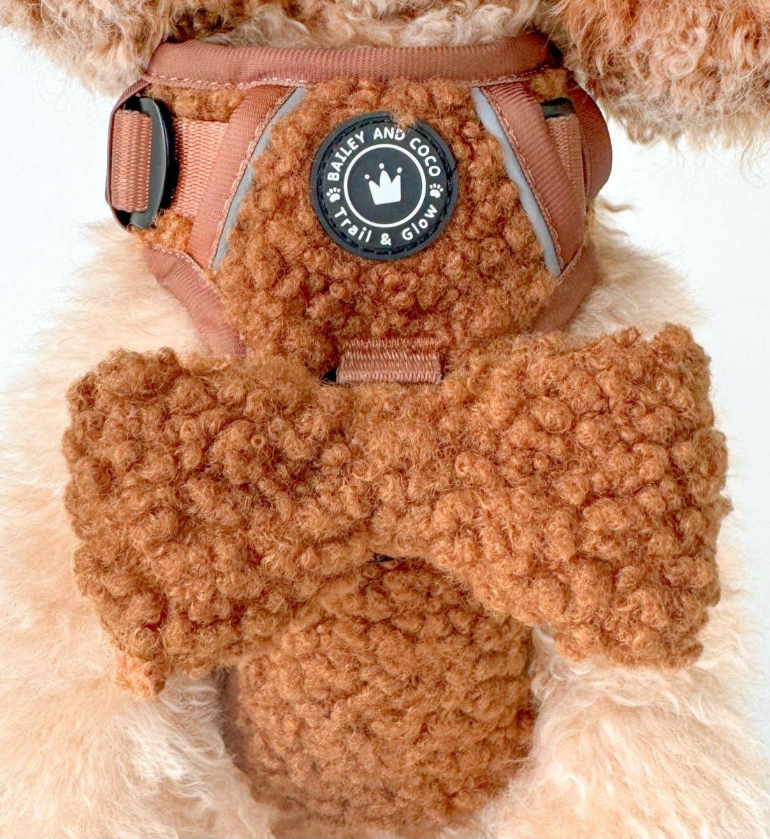 Bailey and Coco - Vente Harnais – chien - Ensemble de harnais pour chien Trail & Glow® - Ours en peluche9