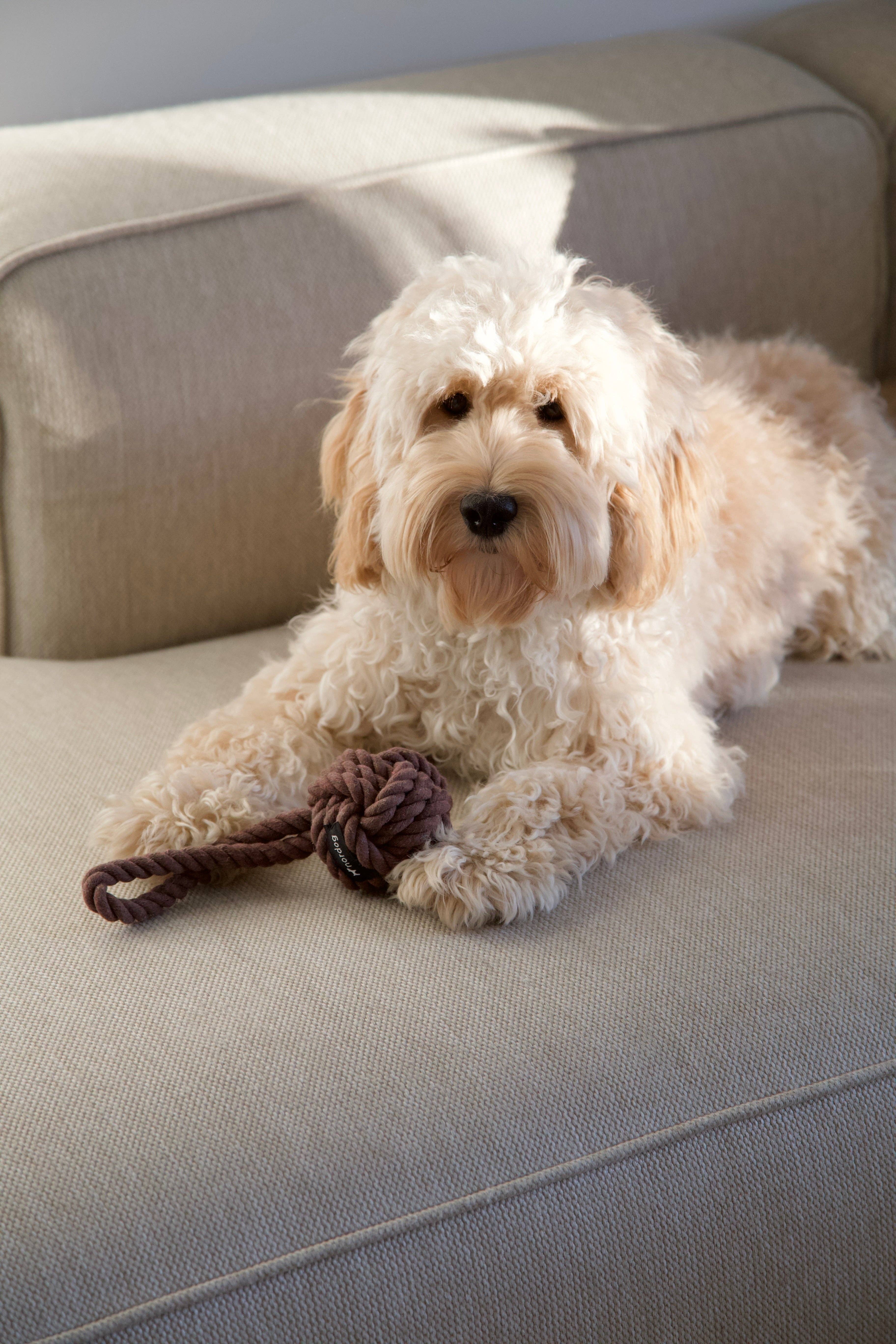 Nordog - Wholesale Pet Rope Toy - Dog - Original Rope Toy Choco3