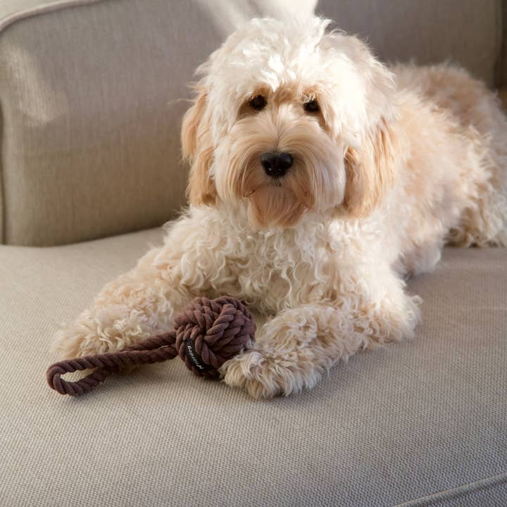 Nordog - Wholesale Pet Rope Toy - Dog - Original Rope Toy Choco3