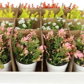 HOFF-INTERIEUR - Wholesale Plant Pot - DISPLAY BOX FLOWER POTS 16-PIECE SET (HOFF2419)0
