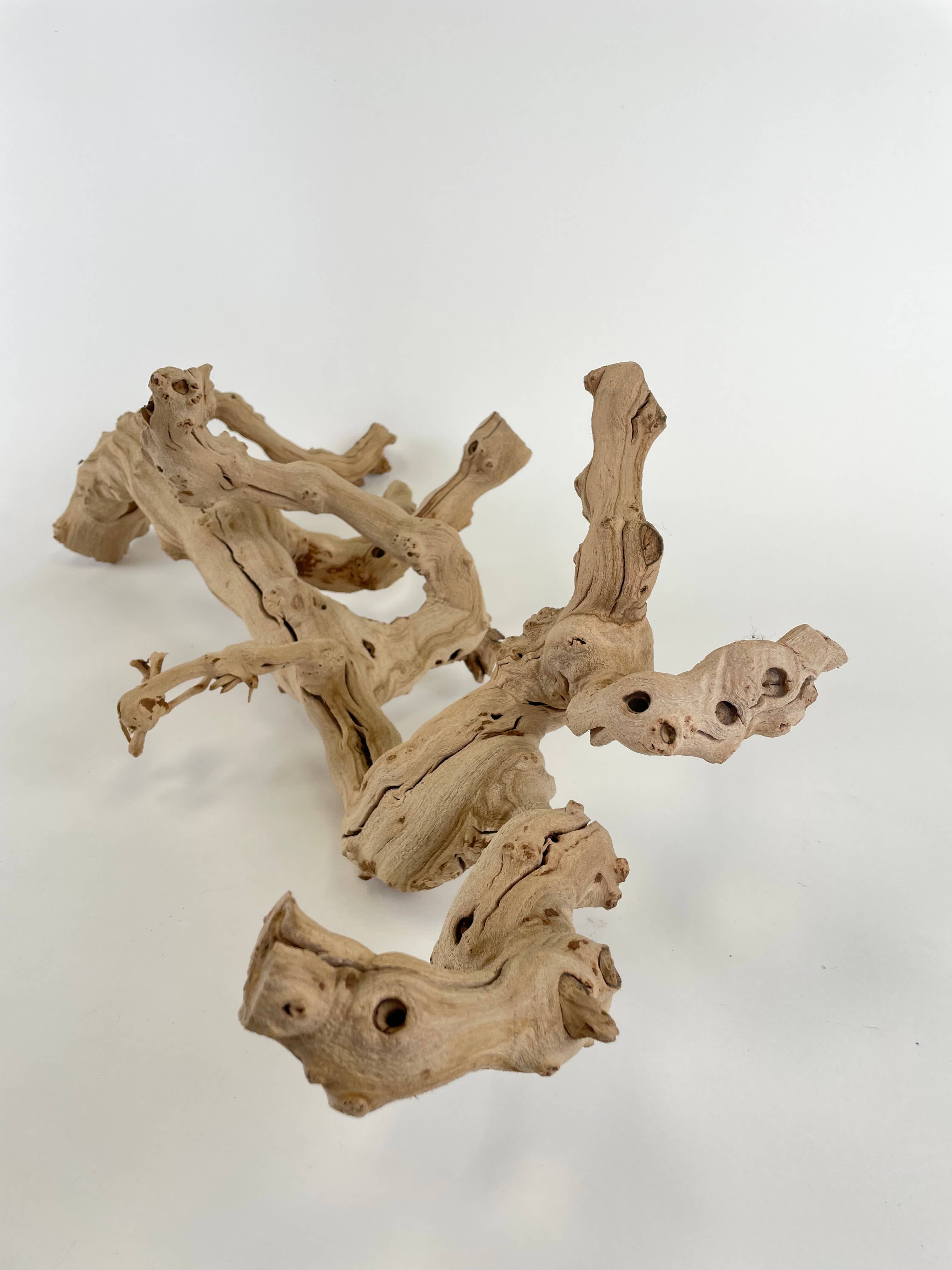 Andaluca - Wholesale Decorative Tabletop Object - 22" Sandblasted Grapewood3