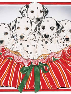 Weihnachtskarten „Dalmatiner in einem Korb“, 10er-Pack für den Großhandel von Pipsqueak Productions
