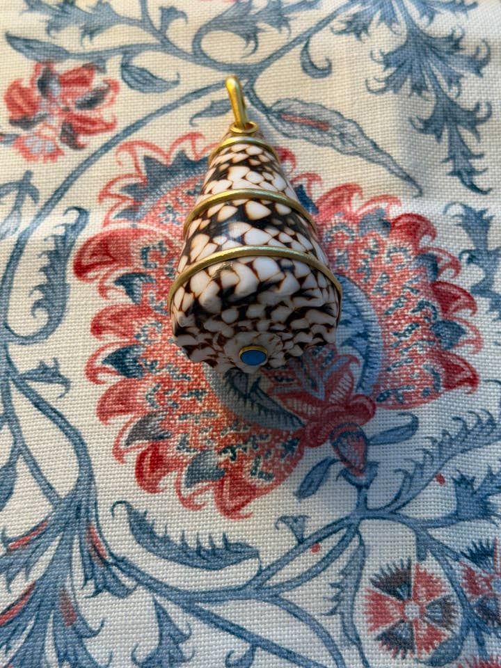 Chocolate and White 2” Shell for wholesale by Vanessa Fox