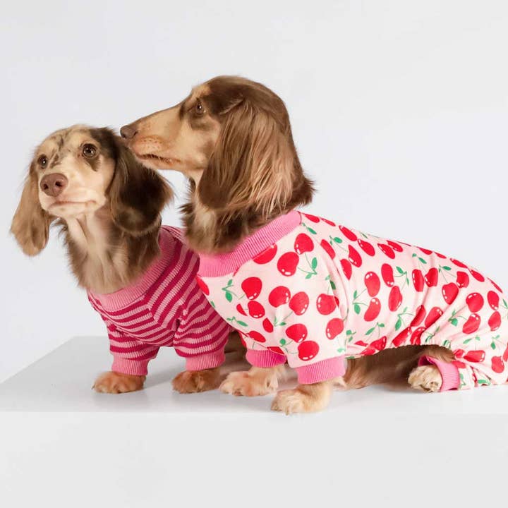 Fitwarm - Wholesale Pet Pajamas - Dog - Cute Cheery Dog Pajamas