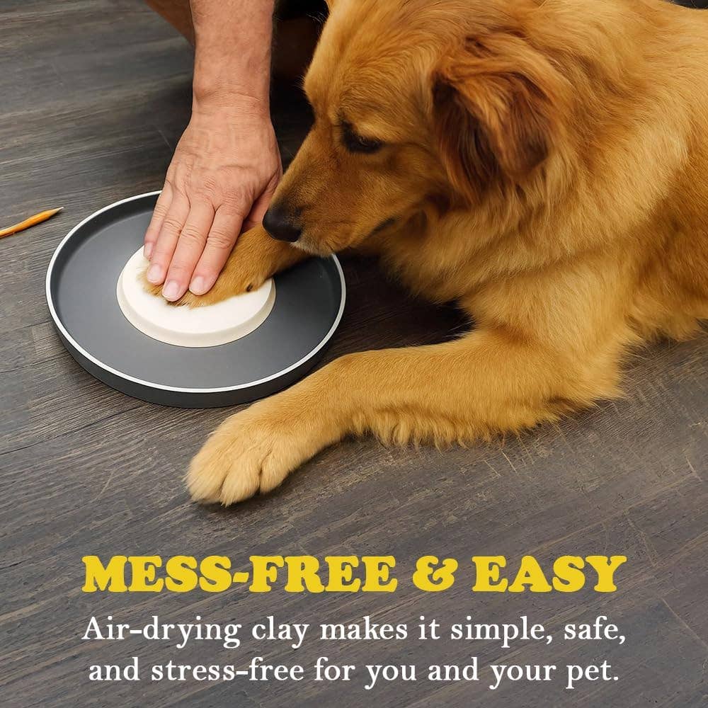 SD Toyz - Vendita all'ingrosso Giocattoli per animali - Cani e gatti - Decorazione personalizzata con zampa di animale e cornice collezionabile6