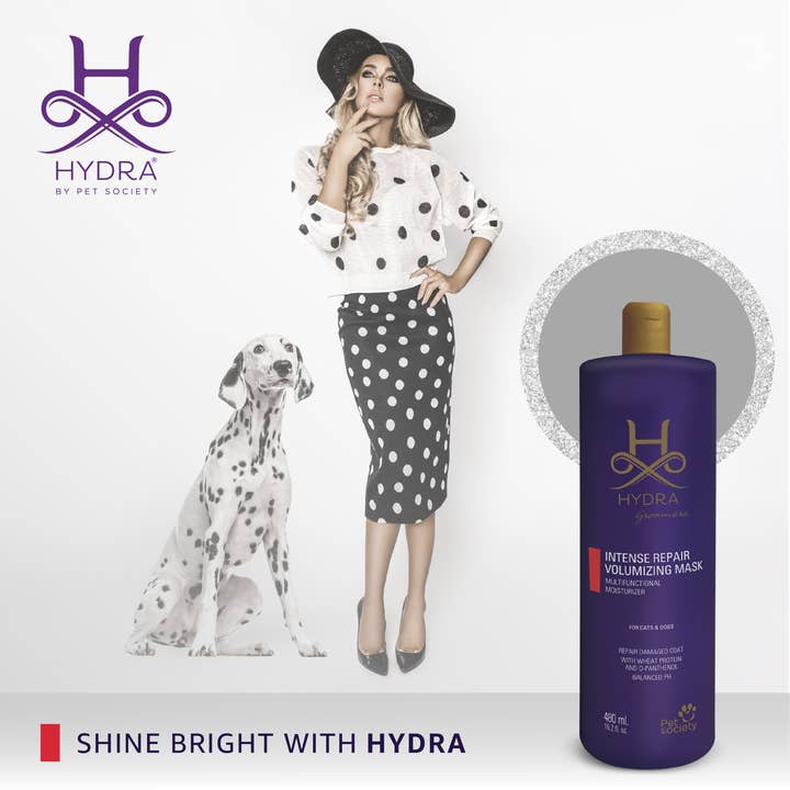 Hydra by Pet Society - Wholesale Pet Grooming Aid - Dog - Hydra Professional Intense Repair Volumizing Mask4