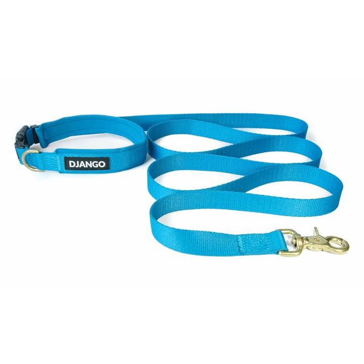 Adjustable Hands-Free Adventure Dog Leash - Pacific Blue for wholesale by DJANGO