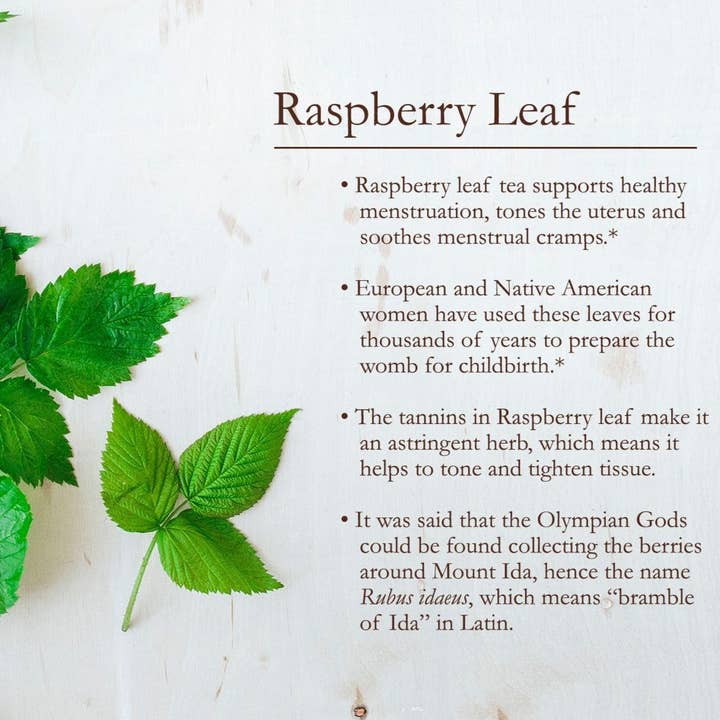 WHOLIFECO - Wholesale Loose Tea - Raspberry Leaf1