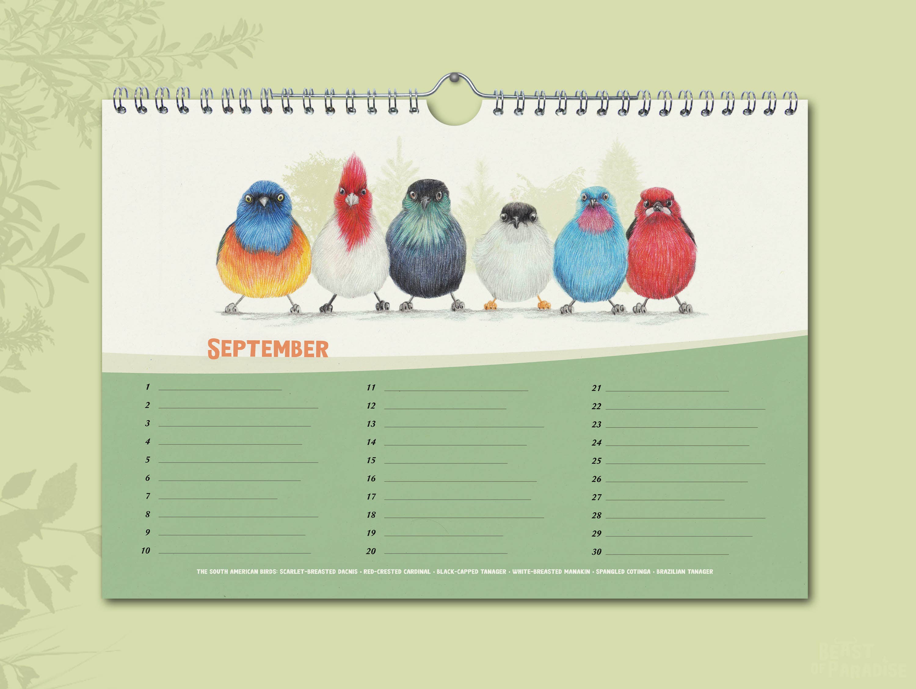 Beast of Paradise - Wholesale Calendar - Birthday Calendar, Perpetual Calendar, Bird Calendar, Animal3