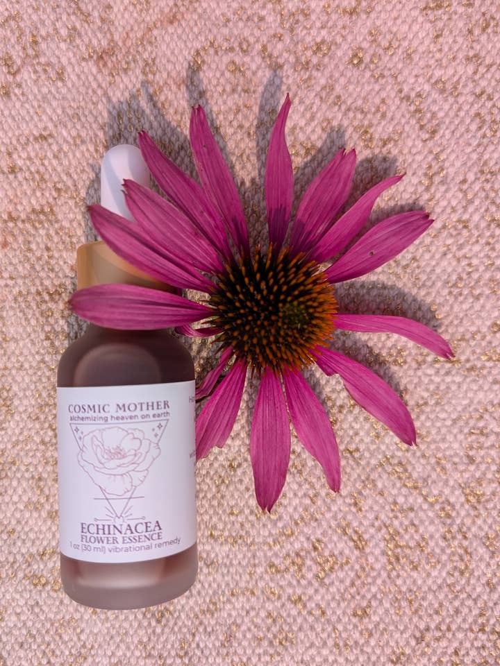 Echinacea Flower Essence | Vibrational Remedy for wholesale by Cosmic Mother
