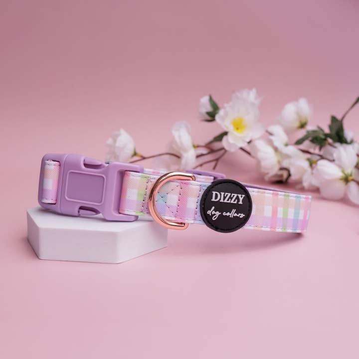 Dizzy Dog Collars - Wholesale Pet collar – Dog - Sherbet Gingham Dog Collar | Canvas & Neoprene Dog Collar4