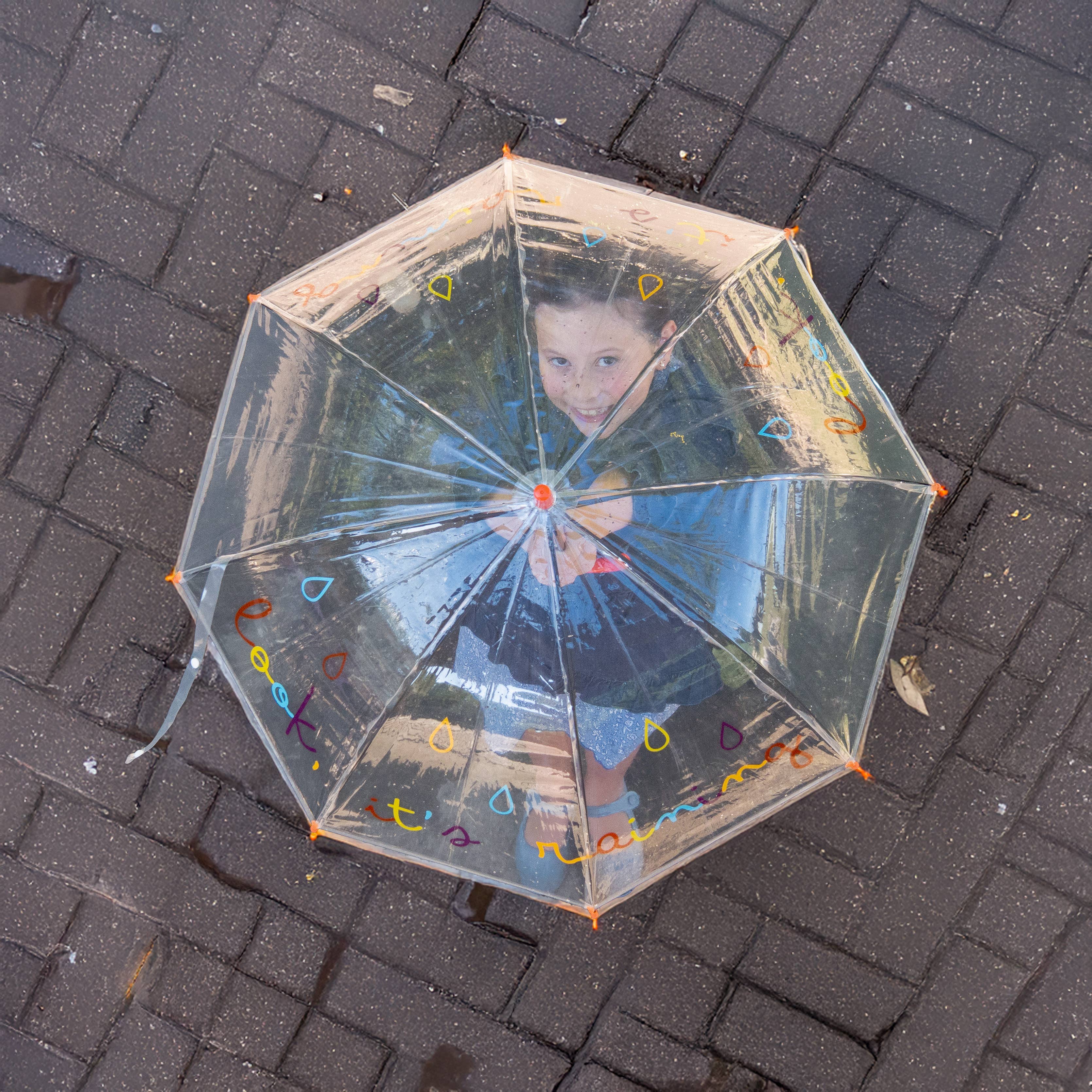 Fisura - Wholesale Umbrella - Kids - Transparent children's umbrella "look, it's raining!"1