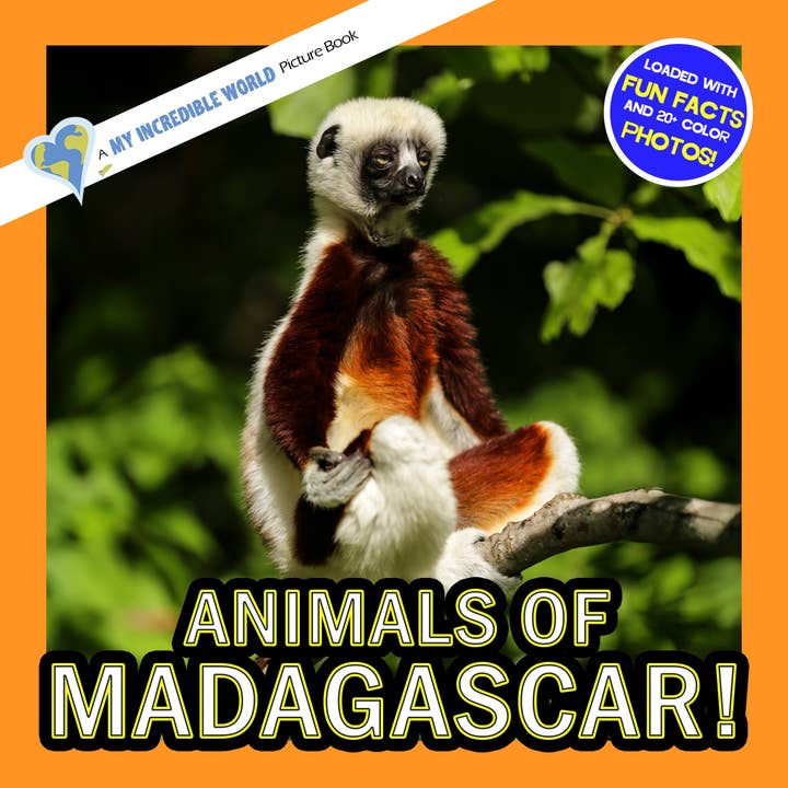 Animais de Madagáscar! Um Livro de Imagens do Meu Mundo Incrível para Crianças por atacado de My Incredible World