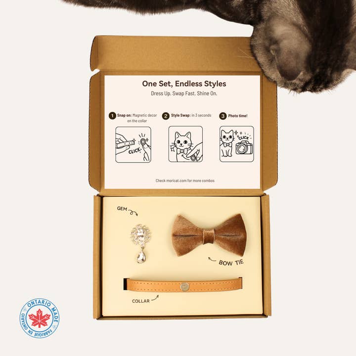 MoriCat Premium Gift Bundle Box with Teardrop Jewel in Crystal on Beige Collar with Golden Bowtie for wholesale by Moricat