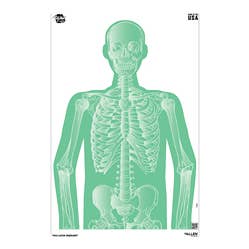 Allen, You Look Radiant EZ Aim, Paper Targets, 3 Pack for wholesale by Big Mike's Outpost LLC