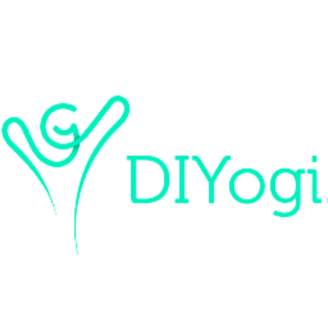 DIYogi wholesale products