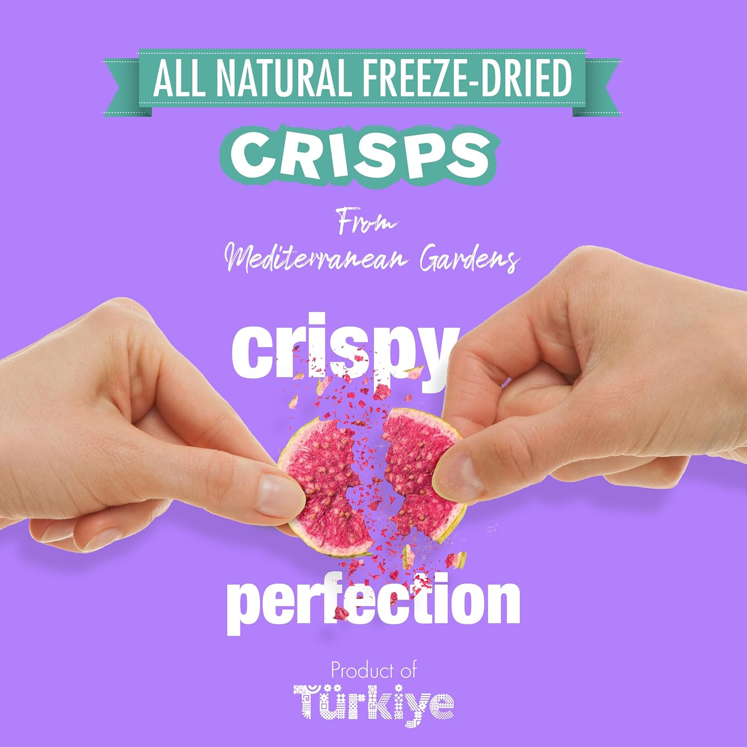 MAG - Wholesale Dried/Dehydrated Fruit - MAG Freeze Dried Fruit Snacks Apple Cinnamon Slices Dried5