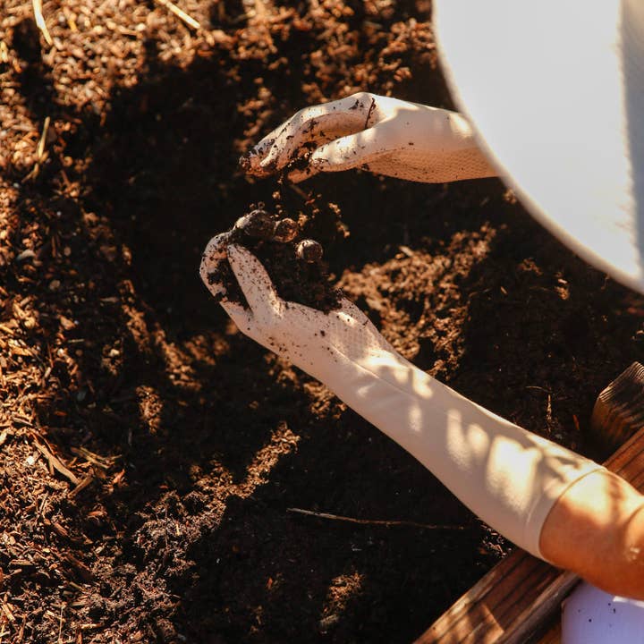 Long Foxgloves - high rise gardening gloves - pinenut for wholesale by higarden