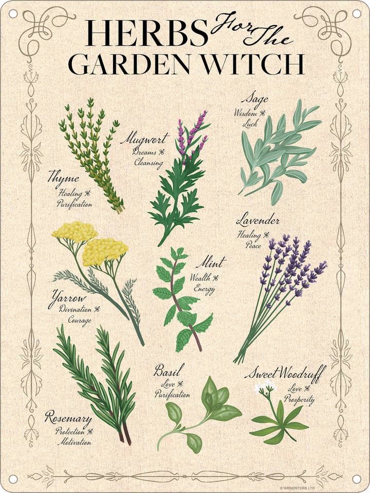 Mini plaque en étain Herbs For The Garden Witch pour la vente par Grindstore